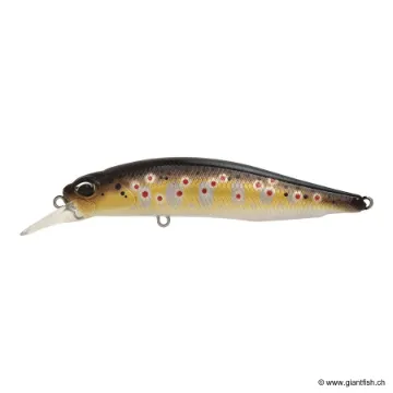 DUO REALIS ROZANTE 77 SP