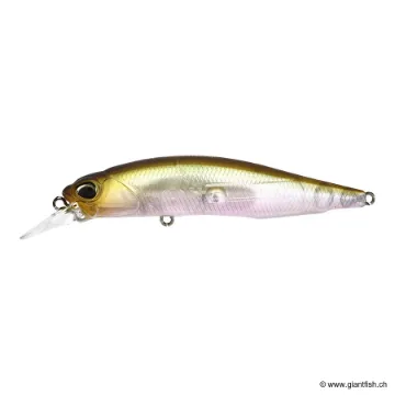 DUO REALIS ROZANTE 77 SP