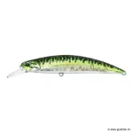 Green Mackerel