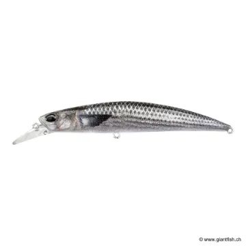 DUO RYUKI 110S SW LTD