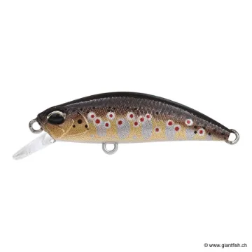 DUO SPEARHEAD RYUKI 38 S