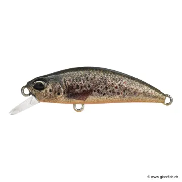 DUO SPEARHEAD RYUKI 38 S