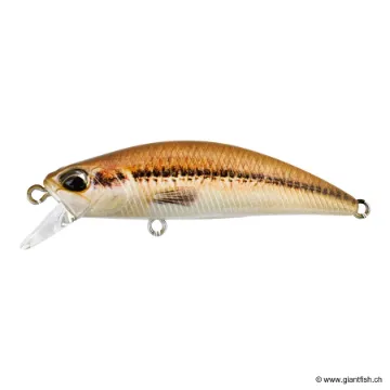 DUO SPEARHEAD RYUKI 45 S