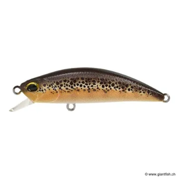 DUO Spearhead Ryuki 50 F