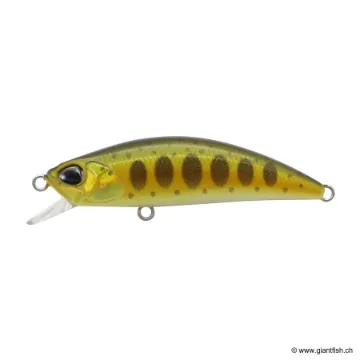 DUO Spearhead Ryuki 50 F