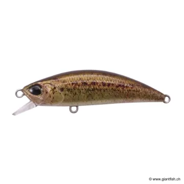 DUO Spearhead Ryuki 50 F