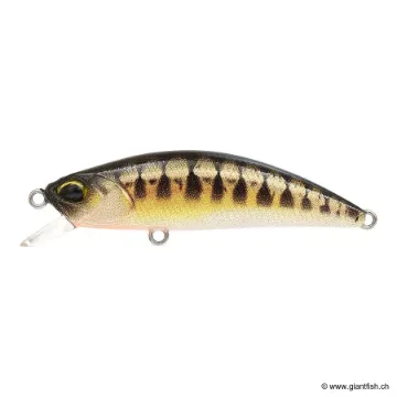 DUO Spearhead Ryuki 50 F