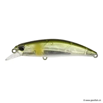 DUO SPEARHEAD RYUKI 60 S