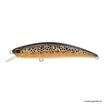 DUO RYUKI 70F SPEARHEAD