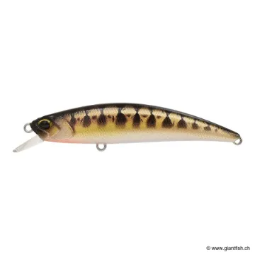 DUO RYUKI 70F SPEARHEAD