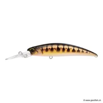 DUO RYUKI 70 MDSP SPEARHEAD