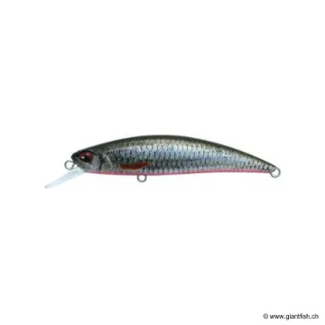 DUO Spearhead Ryuki 70S