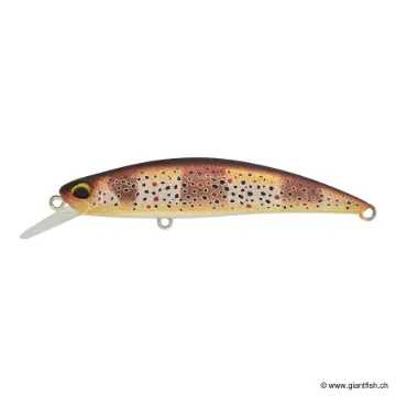 DUO SPEARHEAD RYUKI 70 S