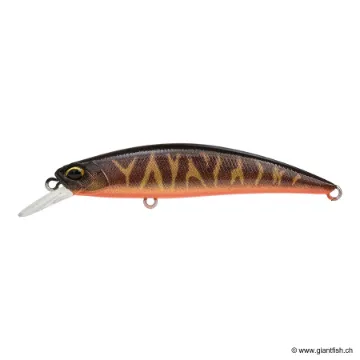 DUO SPEARHEAD RYUKI 70 S