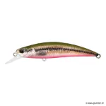 Vairon / Green Back - Red Belly