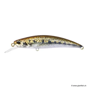 DUO Spearhead Ryuki 70S