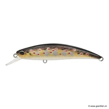 DUO SPEARHEAD RYUKI 70 SP