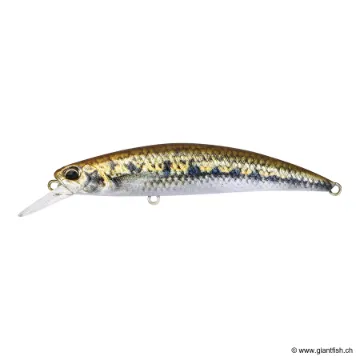 DUO SPEARHEAD RYUKI 80 S