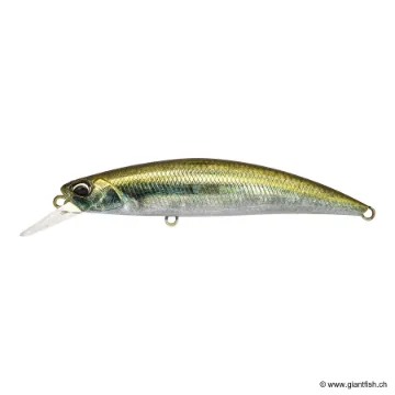 DUO SPEARHEAD RYUKI 80 S