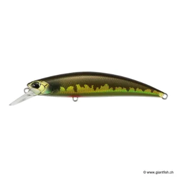 DUO SPEARHEAD RYUKI 80 S