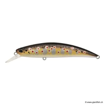 DUO SPEARHEAD RYUKI 80 SP