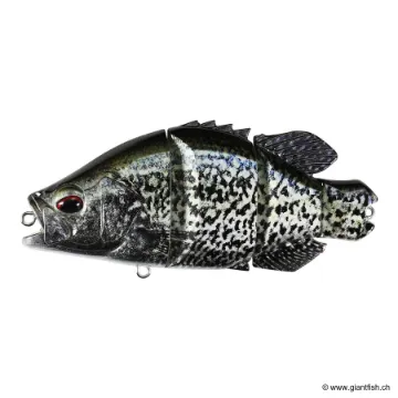 DUO Realis Snappy Crappie