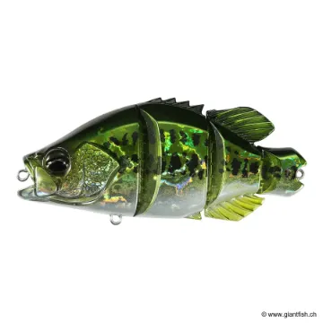 DUO Realis Snappy Crappie