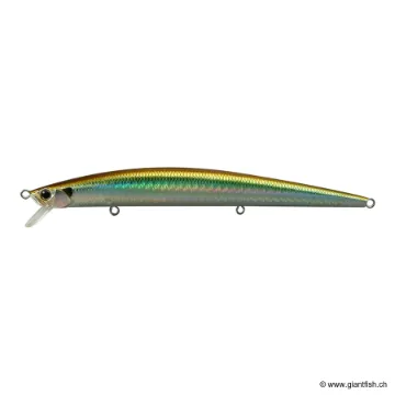 DUO TIDE MINNOW 120 SLIM