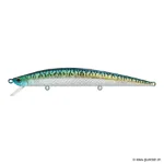 Blue Mackerel