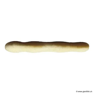 DUO WRIGGLE ND SLIM 3