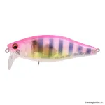 GP Pink Gill