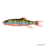 Red Fin Perch