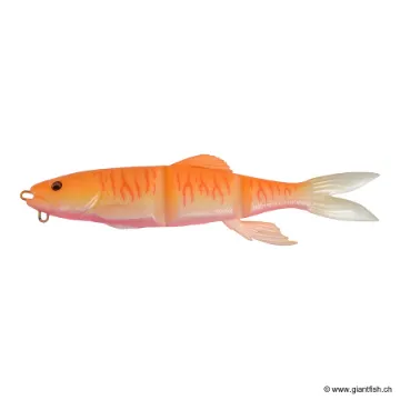 MEGABASS KISS MAG DRAFT HASU RAVER