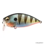 Red Fin Perch