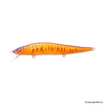 MEGABASS KISS VISION 110 FW SUSPENDING