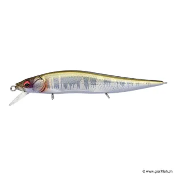 MEGABASS KISS VISION 110 JUNIOR