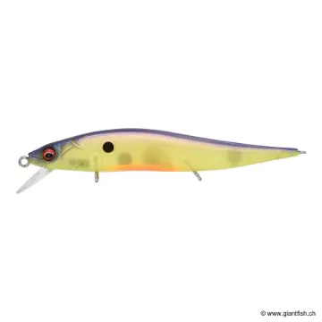 MEGABASS KISS VISION 110 JUNIOR