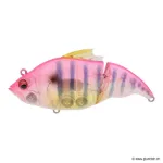 Gp Pink Gill