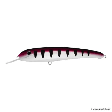 HALCO LASER PRO 210 XD