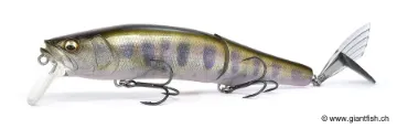 Leurre Flottant Megabass GORHAM 147F - 14.7 cm