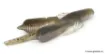 Leurre Souple RAID JAPAN Battle Hog 2.6" - 6.5 cm - 3.2 g