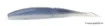 Leurre Souple SAWAMURA One Up V Tail 8" - 23 cm