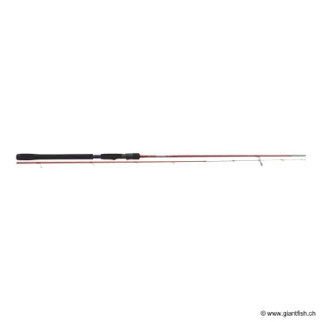 Canne Spinning TENRYU BENTHIC TENYA 240 2ES