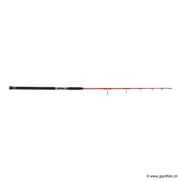 Canne Exotique TENRYU BIG FIBER JIG