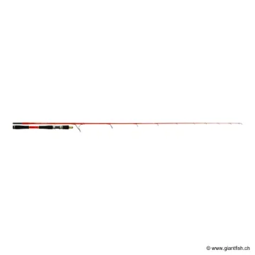 Canne Spinning TENRYU BULL DOG 7.0 EVOLUTION