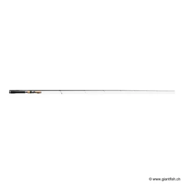 Canne Spinning TENRYU INJECTION FAST FINESS L