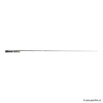 Canne Spinning TENRYU INJECTION FAST FINESS M