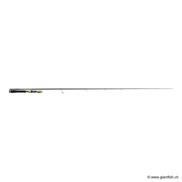 Canne Spinning TENRYU INJECTION FAST FINESS MH
