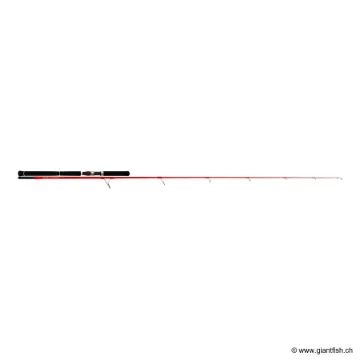 Canne Spinning TENRYU GR DIABLO EVO