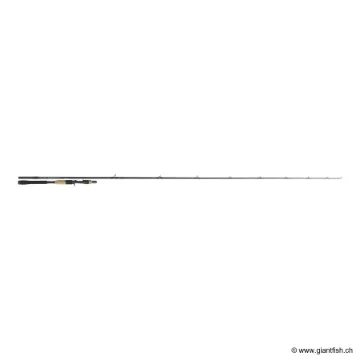 Canne Casting TENRYU INJECTION BC 73 H PIKE SPECIAL